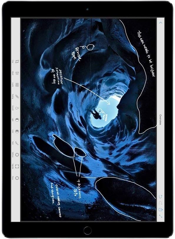 Apple iPad Pro (128GB, Wi-Fi + Cellular, Space Gray) 12in Tablet (Renewed) - Authentic Apple Products.