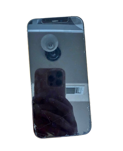 iPhone 12 Pro Max - Authentic Apple Products.